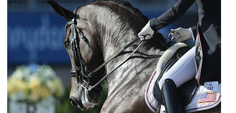 Europei Rotterdam: chi sfiderà i campioni tedeschi del dressage? 1