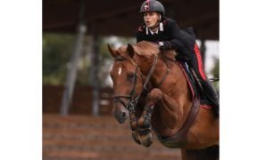 Filippo Bologni in Piazza d'Onore nel Premio Volvo (H150 LR) di Samorin