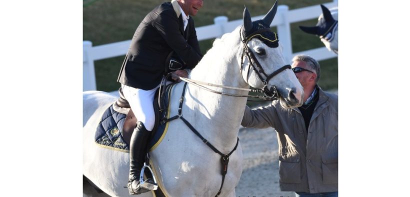 Piazza d'Onore per Davide Kainich a Wiener Neustadt (CSI3*)