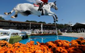Top Jumping Horses: Clooney 51 3