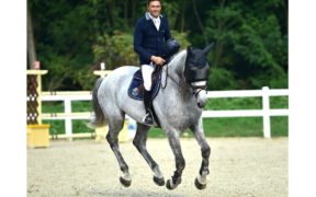 A Paolo Adamo Zuvadelli il Grand Prix di Gorla (CSI2*)