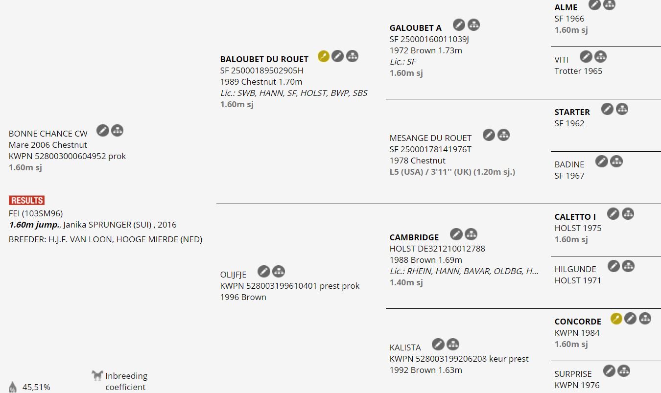 Bonne Chance CW ritirata dallo sport: la Kwpn va a riposo come fattrice