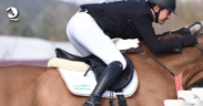 CSI2* Gorla, nell'odierna gara alta vince Michel Robert; Giuseppe Rolli è secondo