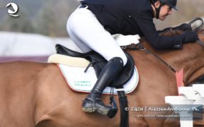 CSI2* Gorla, nell'odierna gara alta vince Michel Robert; Giuseppe Rolli è secondo