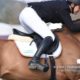 CSI2* Gorla, nell'odierna gara alta vince Michel Robert; Giuseppe Rolli è secondo
