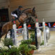 CSIO5* Calgary, Bucci al top nella Six Bars ATCO Electric