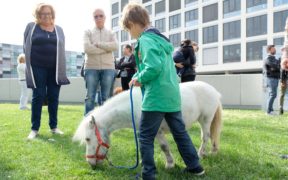 Fieracavalli, con Riding the blue "il cavallo giova all'autismo"