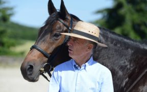 Fieracavalli, etica e sostenibilità al centro dell’edizione 2019