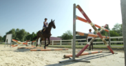 La dimensione emotiva negli sport equestri non è sottovalutabile, specie per chi insegna