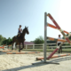 La dimensione emotiva negli sport equestri non è sottovalutabile, specie per chi insegna