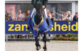 Lanaken, Mondiali FEI/WBFSH per giovani cavalli, ecco i titoli e le classifiche