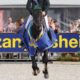 Lanaken, Mondiali FEI/WBFSH per giovani cavalli, ecco i titoli e le classifiche