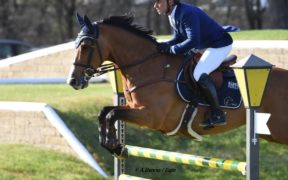 Ottimi Grand Prix per Paolo Paini e Giovanni Lucchetti in Francia (CSI4*) e in Italia (CSI2*)