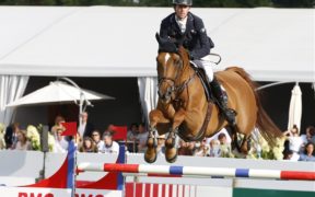 Ranking WBFSH 2019, Explosion W è in vetta nel salto ostacoli, Weihegold nel dressage 2
