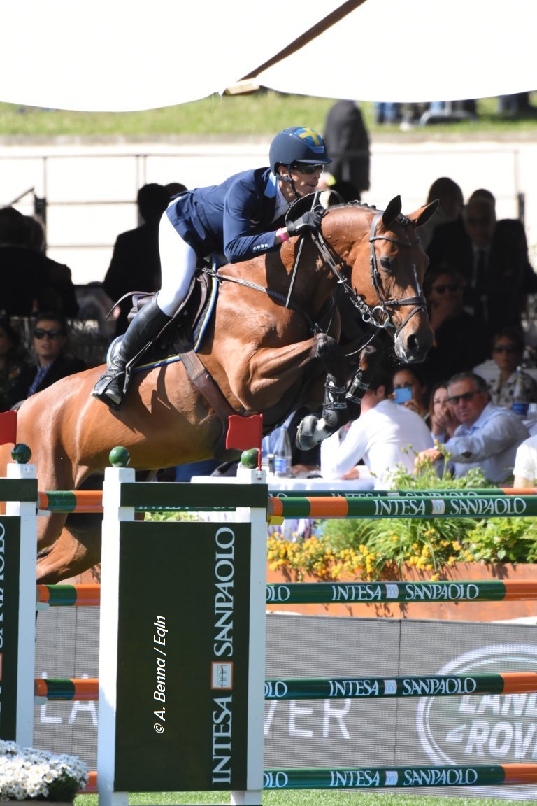 Top Jumping Horses: Toveks Mary Lou 1