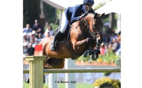 Top Jumping Horses: Toveks Mary Lou 2
