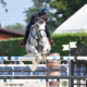 Aurora Bortolazzi vince il Grand Prix del CSI3* di Gorla Minore