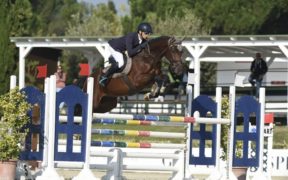 I risultati dei Campionati Giovani Cavalli svoltisi ad Arezzo