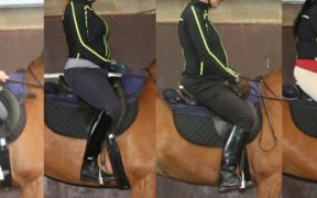 ISES informa: aumento di peso e asimmetrie in sella incidono su andatura e comportamento del cavallo