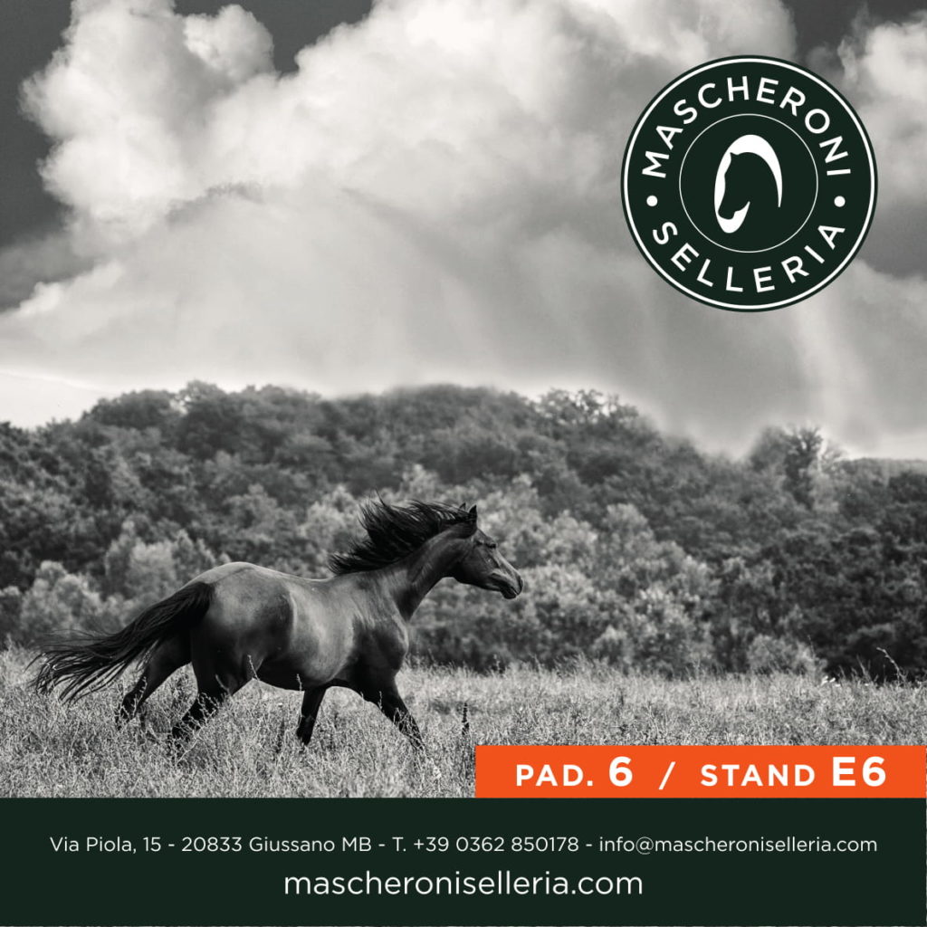 Mascheroni Selleria a Fieracavalli: oltre 300 mq di area espositiva commerciale (Padiglione 6) 2