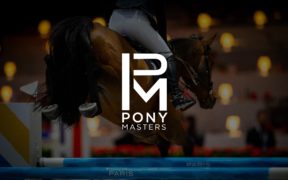 40/5000 I pony avranno anche i loro padroni!