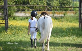 Tutela dei minori e delle donne nell'equitazione: nuovi provvedimenti FISE