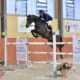 E' di Matteo Checchi la Ranking Class del CSI2* tortonese
