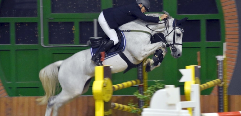 Il GP del Milano Winter Show parla svizzero. Roberto Arioldi in Piazza d'Onore