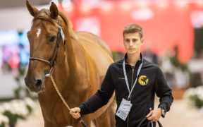Jumping Verona: Filippo Bologni al posto di Luca Marziani in Grand Prix