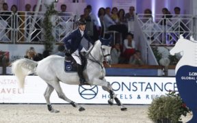 Lo stallone Cigaret JVH Z gareggerà per il nostro tricolore