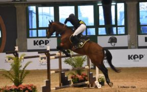 Milano Winter Show, il Grand Prix è di Massimiliano Ferrario