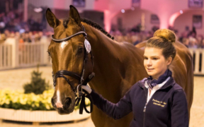 P.S.I. Auction 2019, acquisti americani da capogiro: una figlia di Stakkato a 2,4 milioni di euro, un figlio di Vivaldi ad 1,2