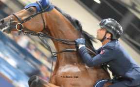 Ehning firma la Coppa del Mondo di Madrid. Bicocchi ai piedi del podio 2