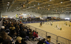 Fiere, Roma e Verona unite per la promozione del comparto equestre