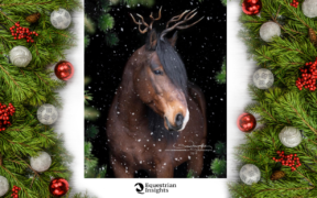 La redazione di Equestrian Insights vi augura Buon Natale!