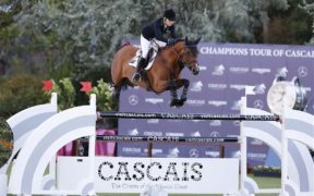 Lintea Tequila ritirata dallo sport