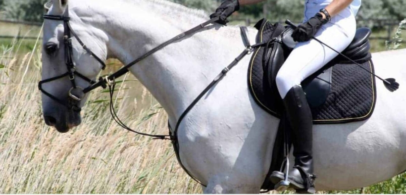 Sull'uso della frusta a cavallo: ISES informa