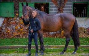 Un nuovo cavallo per Filippo Bologni 2