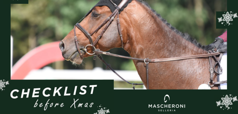XMas Wishlist da Mascheroni Selleria 7