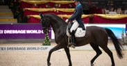 DRESSAGE: ottime performances di Francesco Zaza nella tappa FEI World Cup™