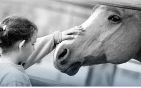 Emotional transfer tra uomo e cavallo: non c'è nulla di meglio...