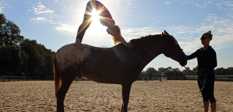 Horse Yoga? Ecco perché questo connubio può essere vincente