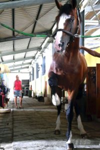 La doppia vita di Chopin 4