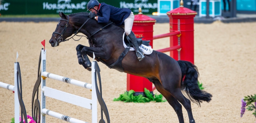 Lo stallone Argento ritirato dallo sport