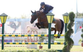 Mediazione di Filippo Bologni nella vendita di Freestyle