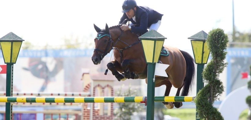 Mediazione di Filippo Bologni nella vendita di Freestyle