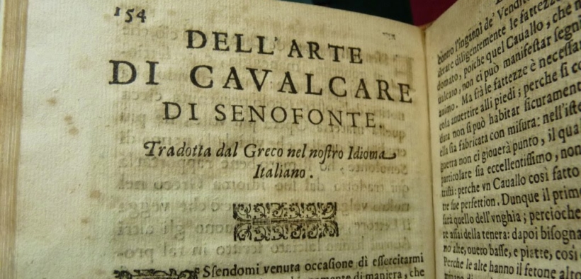 Note a margine sulle origini della letteratura equestre