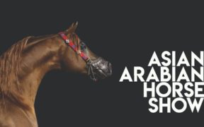 Novità 2020: Asian Arabian Horse Show ai Longines Masters di Hong Kong