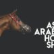 Novità 2020: Asian Arabian Horse Show ai Longines Masters di Hong Kong