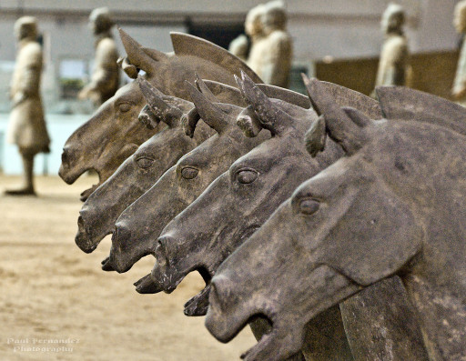 Nuovi reperti per l'Esercito di Terracotta: non solo soldati, anche cavalli 1